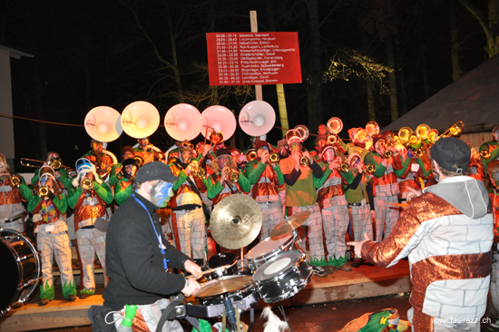 seegusler ball 2010 352