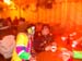 seeguslerball 008