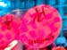 seeguslerball 068