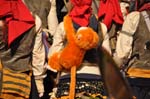 fasi LU 20.02.2012 072