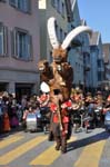 fasi Sarnen 21.02.2012 073