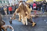 fasi Sarnen 21.02.2012 099