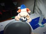 chacheliball 079